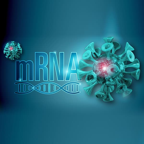 mRNA