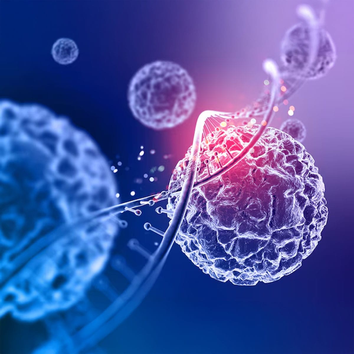 Learn How Stem Cells Can Regenerate Human Skin