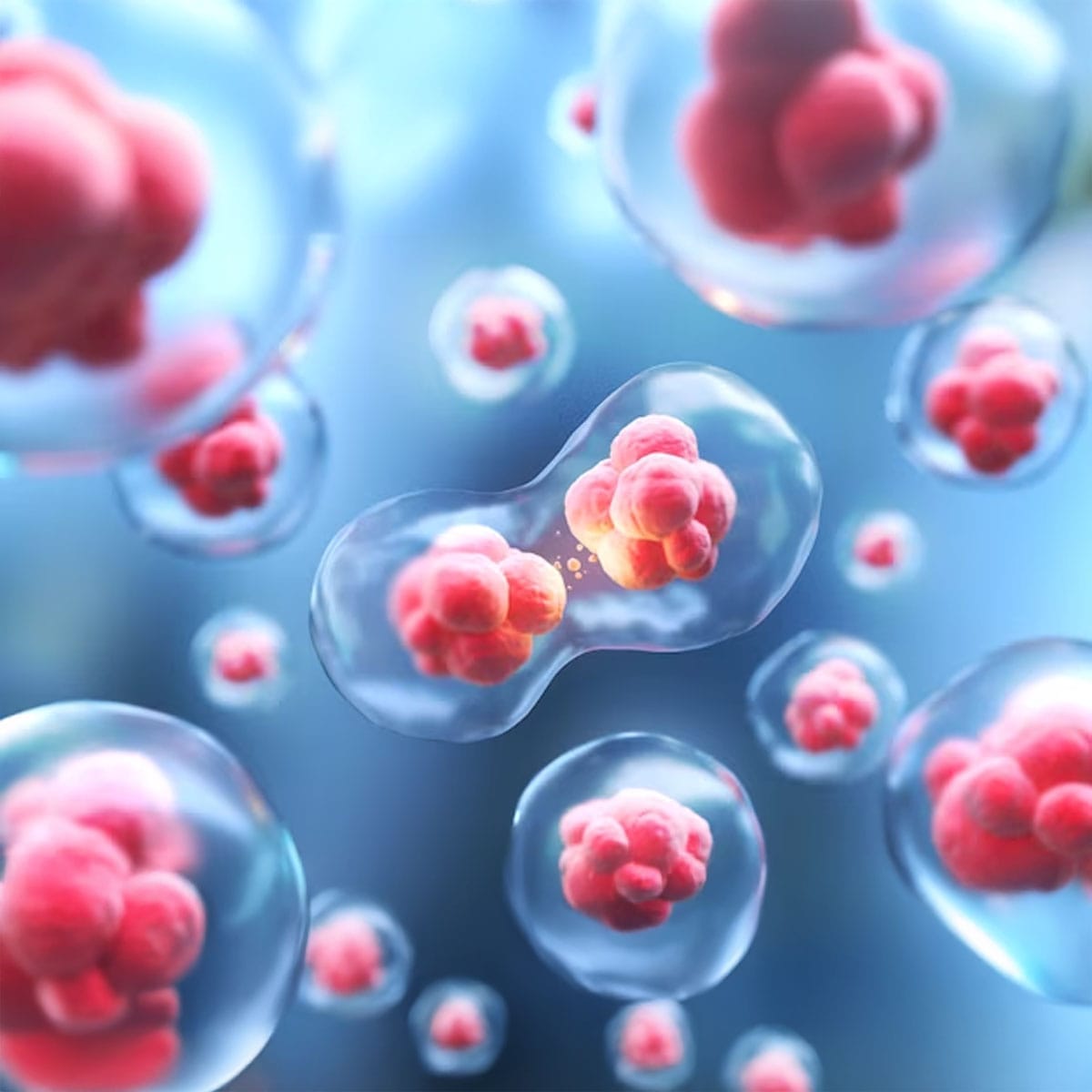 Learn How Stem Cells Can Regenerate Human Skin