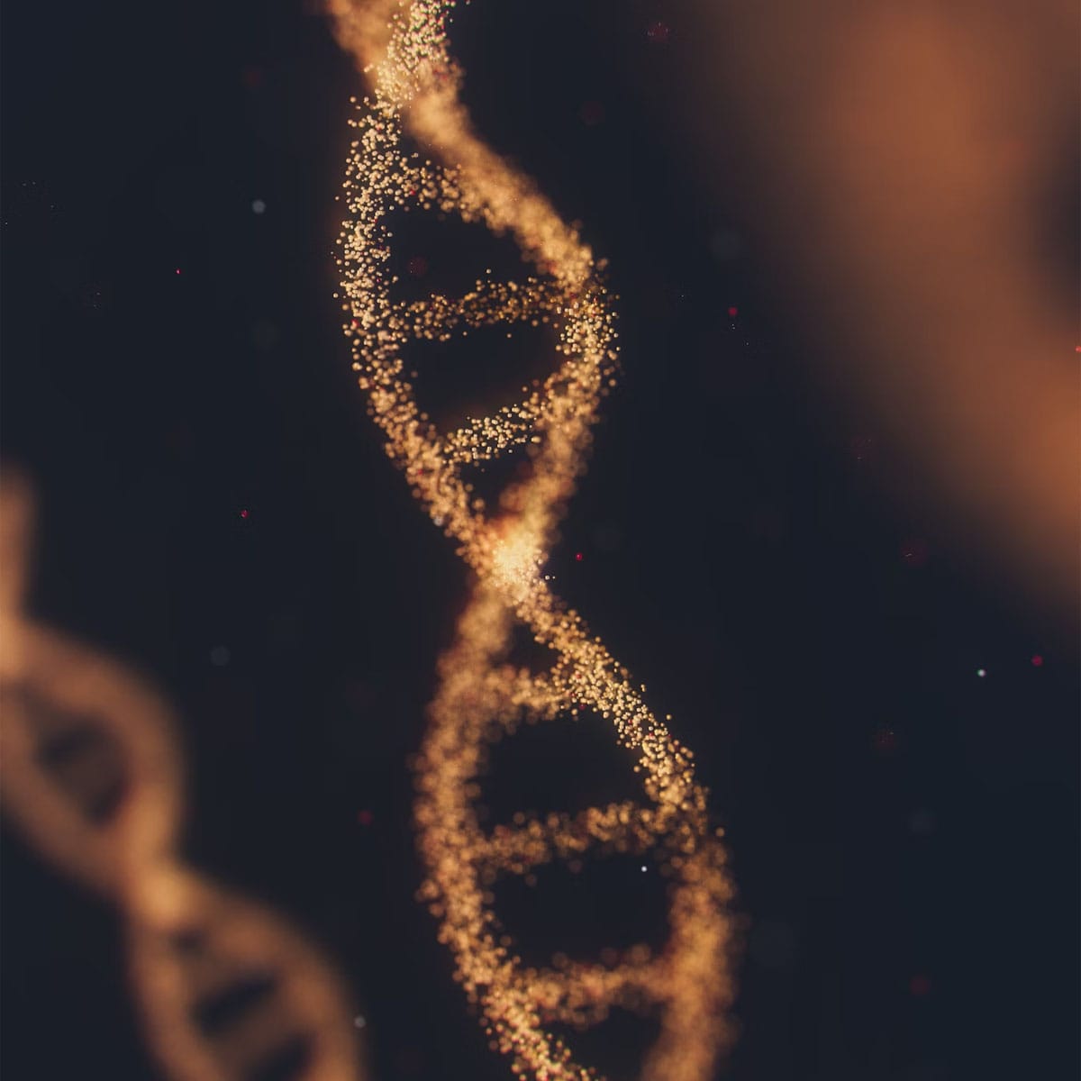who owns your DNA, genetic data ownership, DNA privacy laws, ethical issues in genetic testing, genetic information consent
