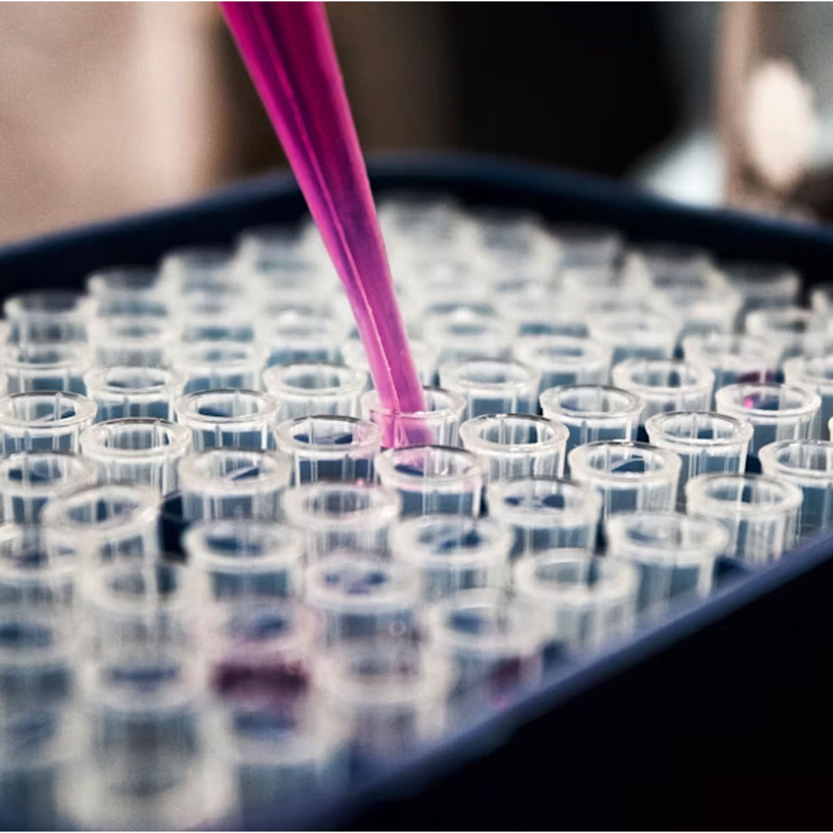 DNA sensor, CRISPR test, point of care