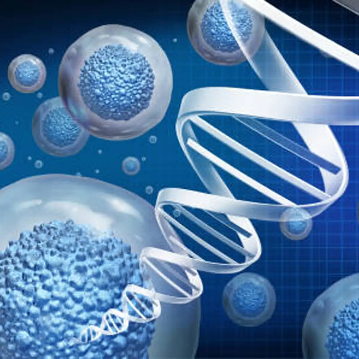 stem cell, anthony nolan, donor register