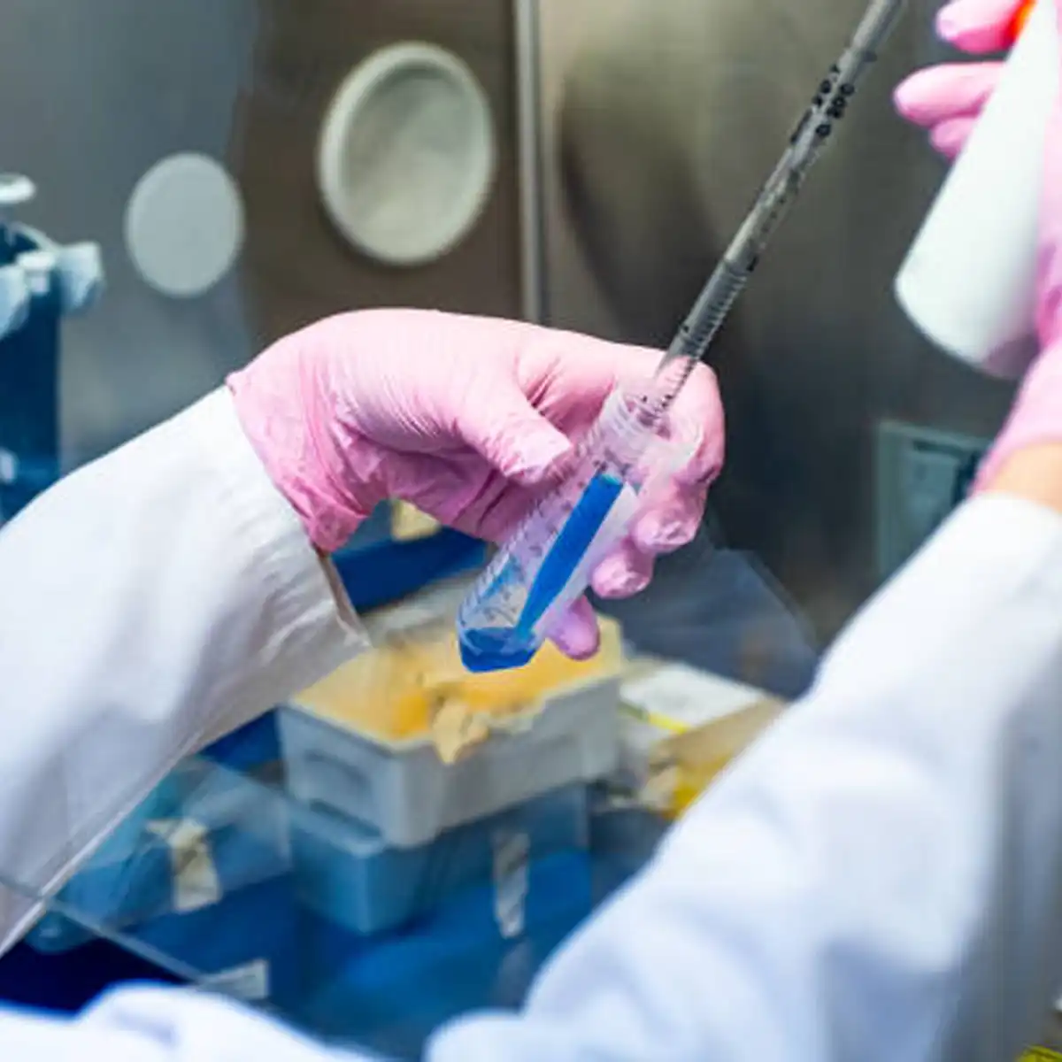 stem cell, anthony nolan, donor register